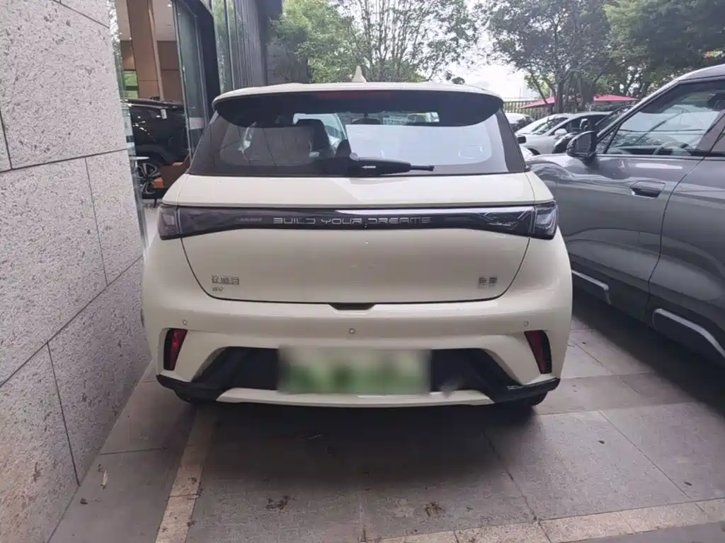 BYD Dolphin 2026 2025 420km Freedom Edition