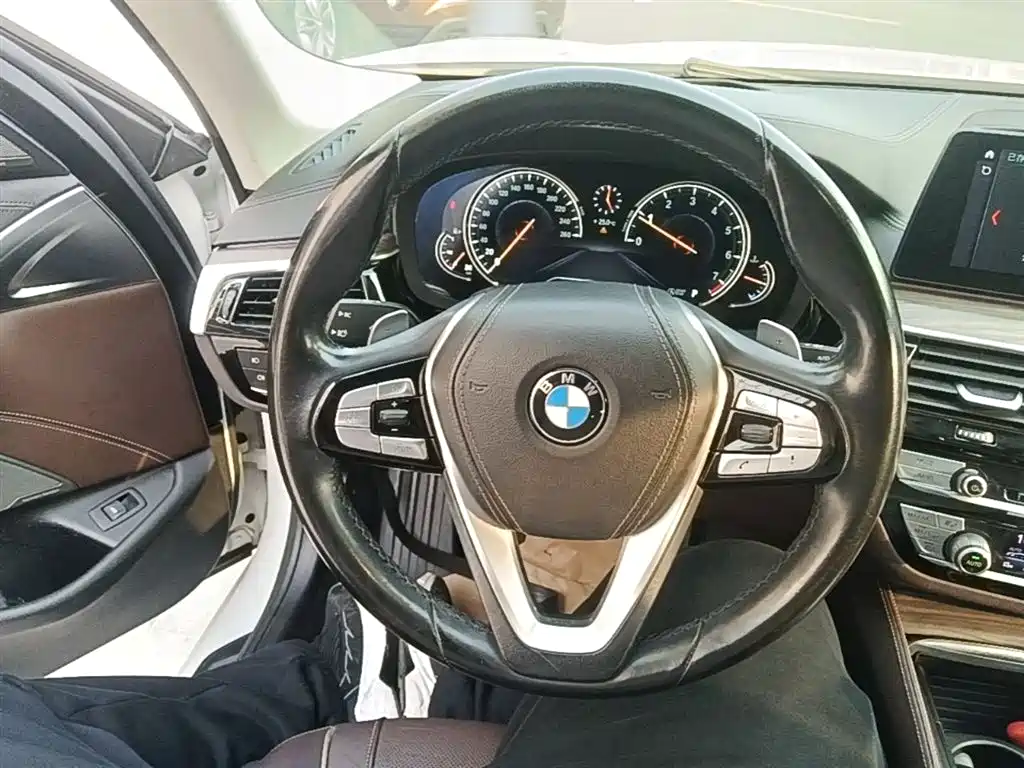 BMW 5 Series 2018 Facelift 530Li Exclusive Luxury Package фото 11