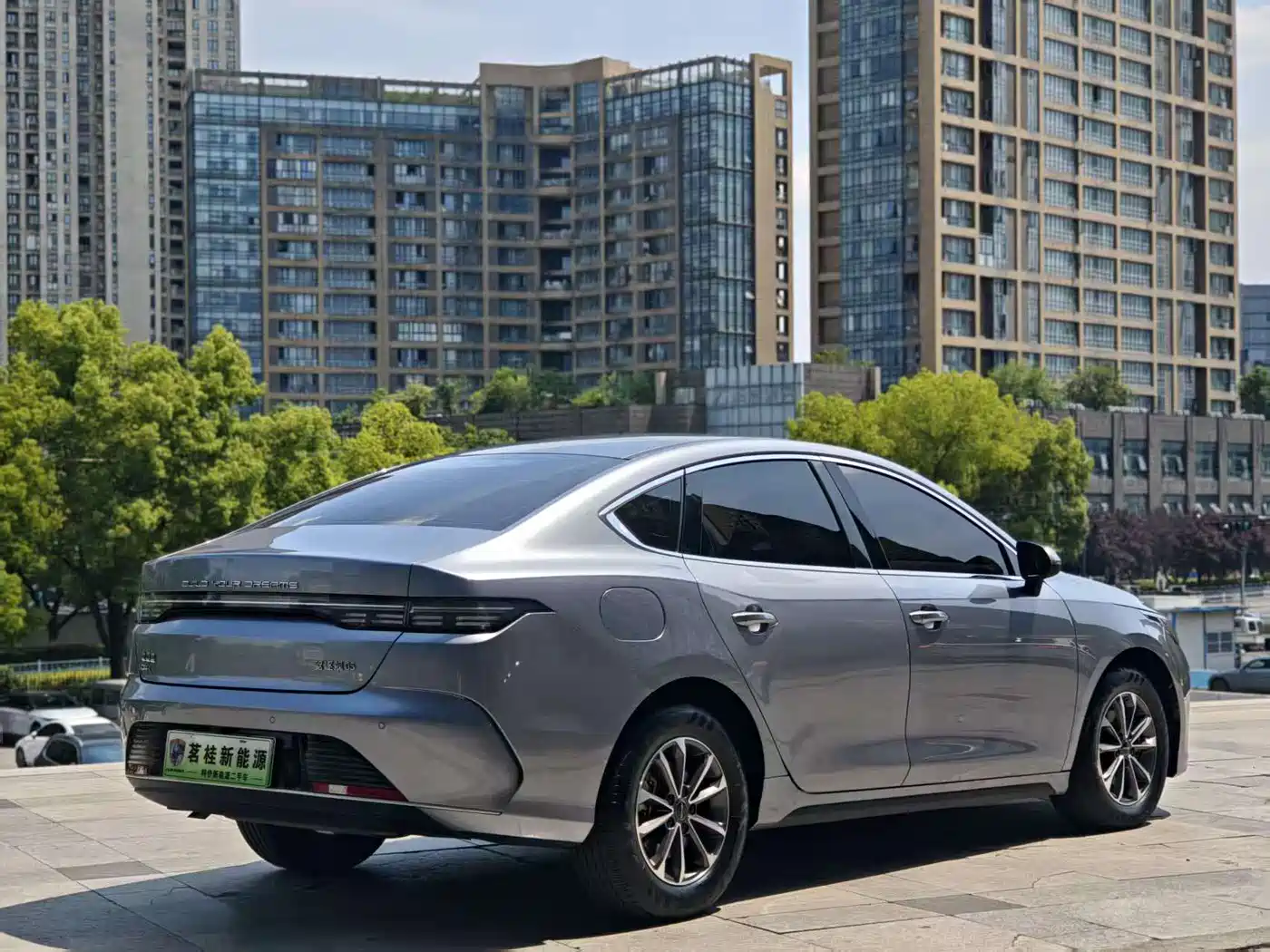 BYD Destroyer 05 2024 Glory Edition DM-i 55KM Luxury фото 16
