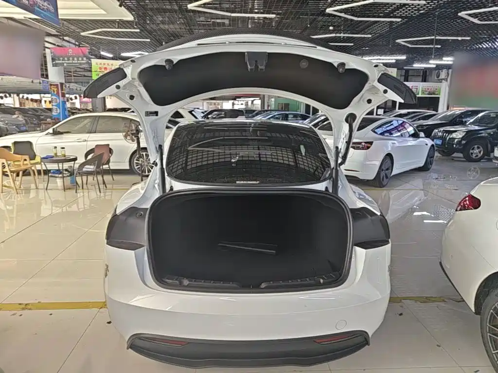 Tesla Model 3 2025 2025 Model Rear-Wheel Drive Edition
