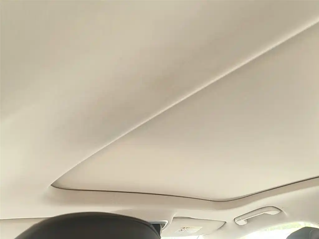 Hongqi HS3 2023 1.5T 2WD Virtue Edition фото 25