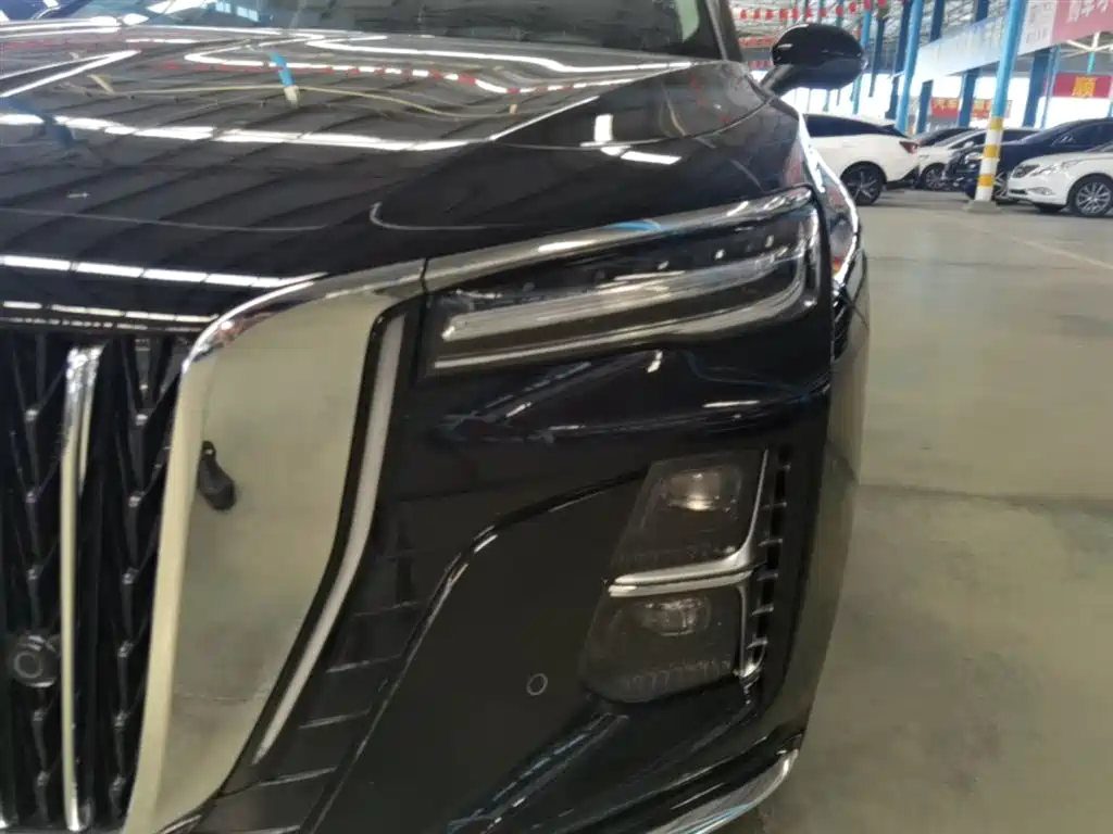 Hongqi H5 2025 2.0T Automatic Flag Celebration 500,000 Units Anniversary Edition фото 24