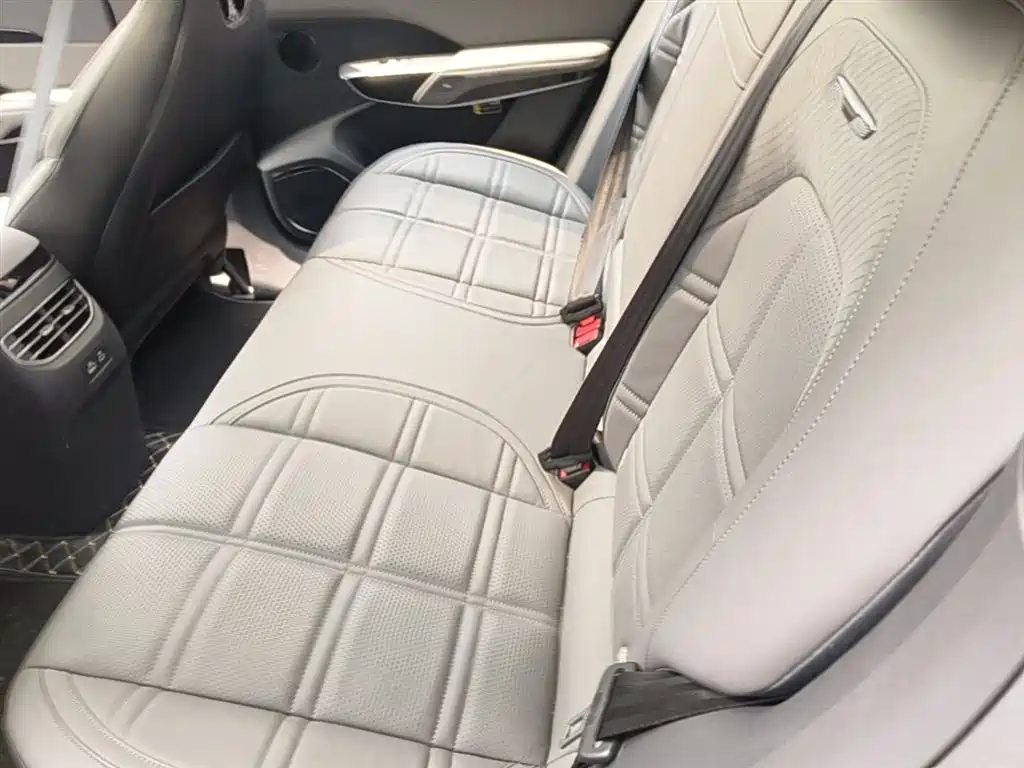 Hongqi Tian Gong 08 2025 730 Max RWD фото 24