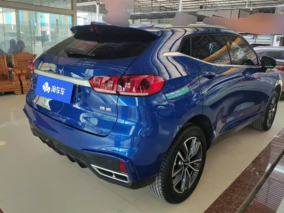 WEI PAI WEI BRAND VV5