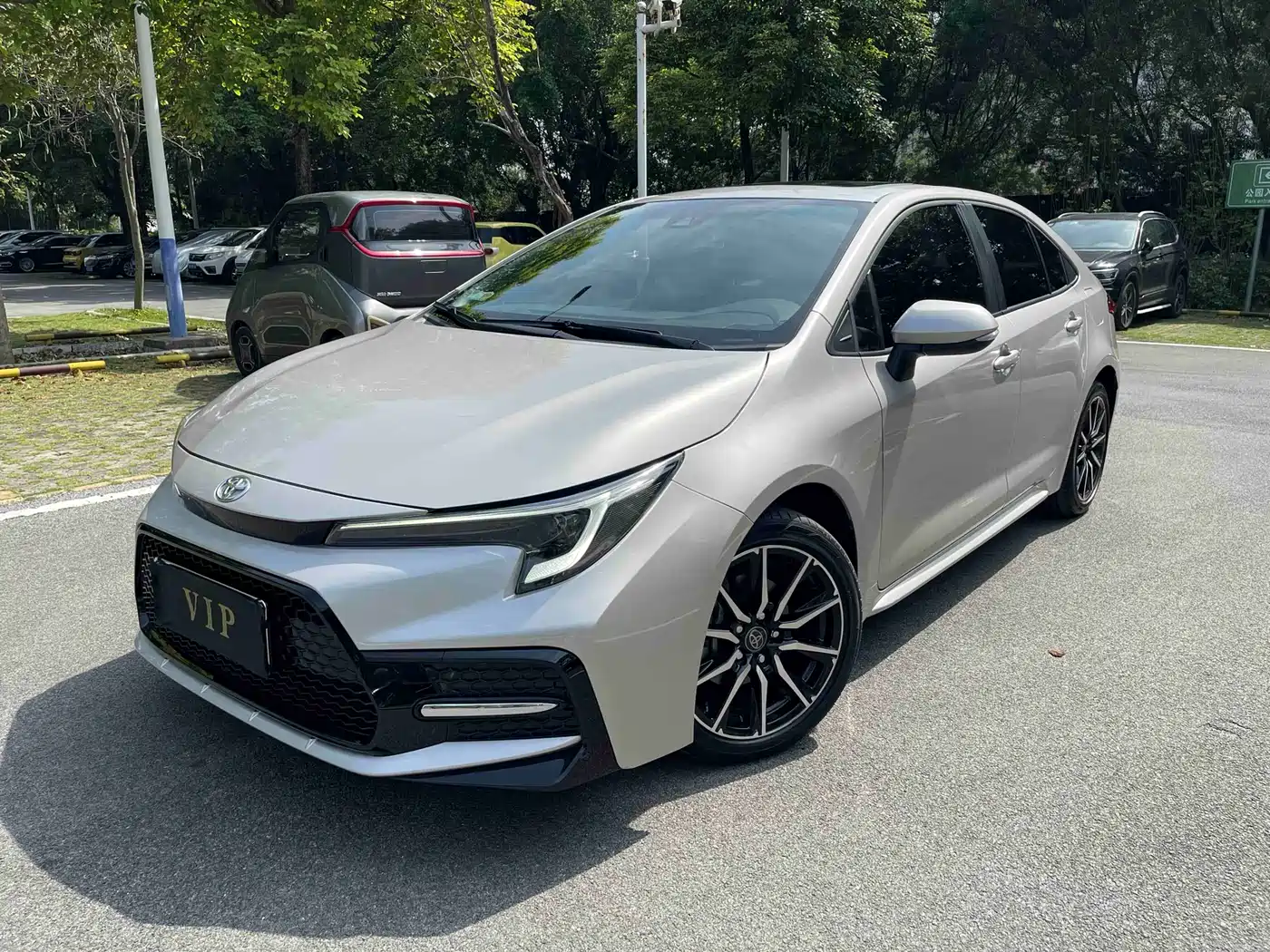 TOYOTA LEI LING 2024