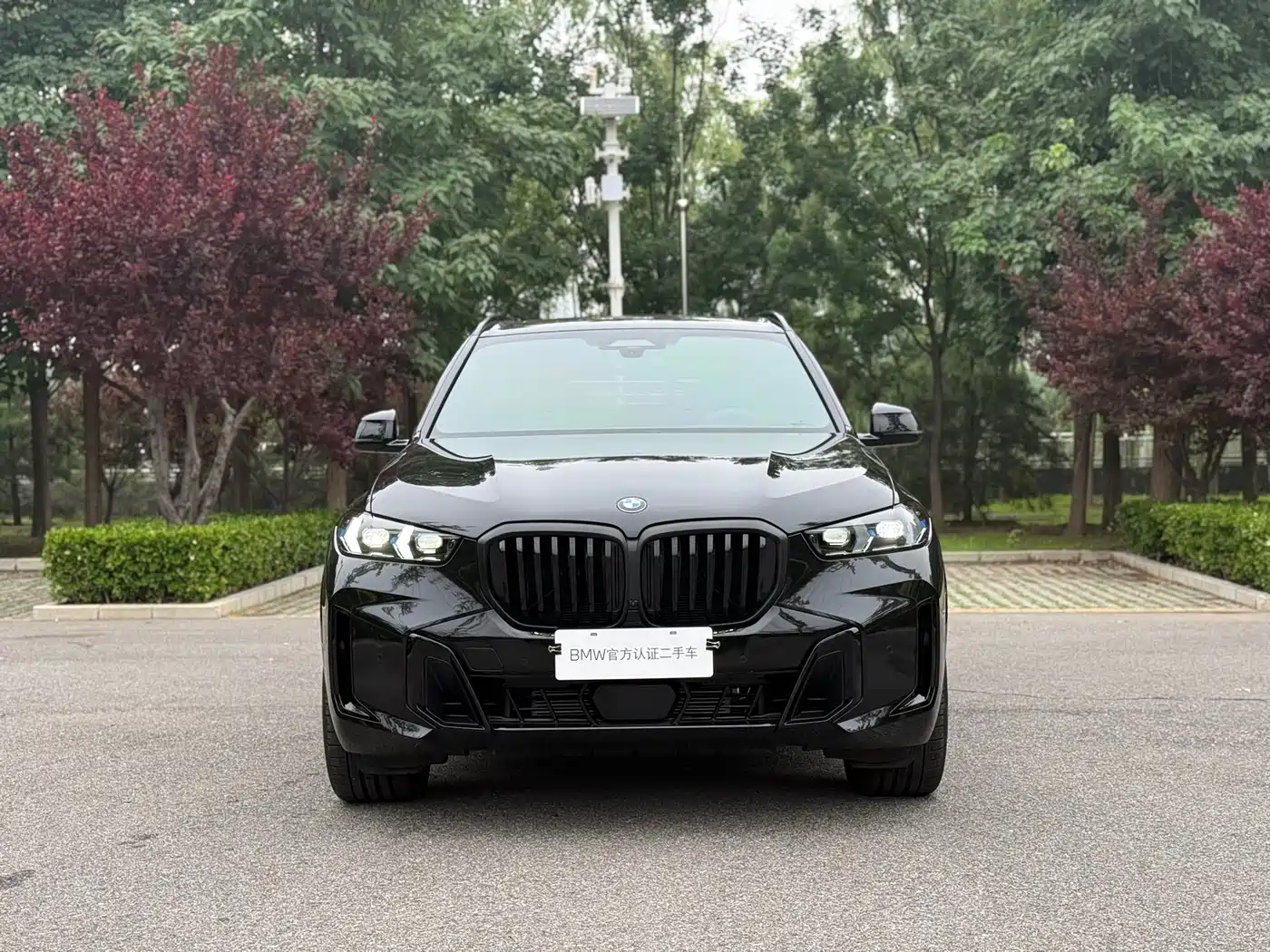 BMW BMW X5 2023 xDrive 40Li Premium M Sport Black Night Package 5