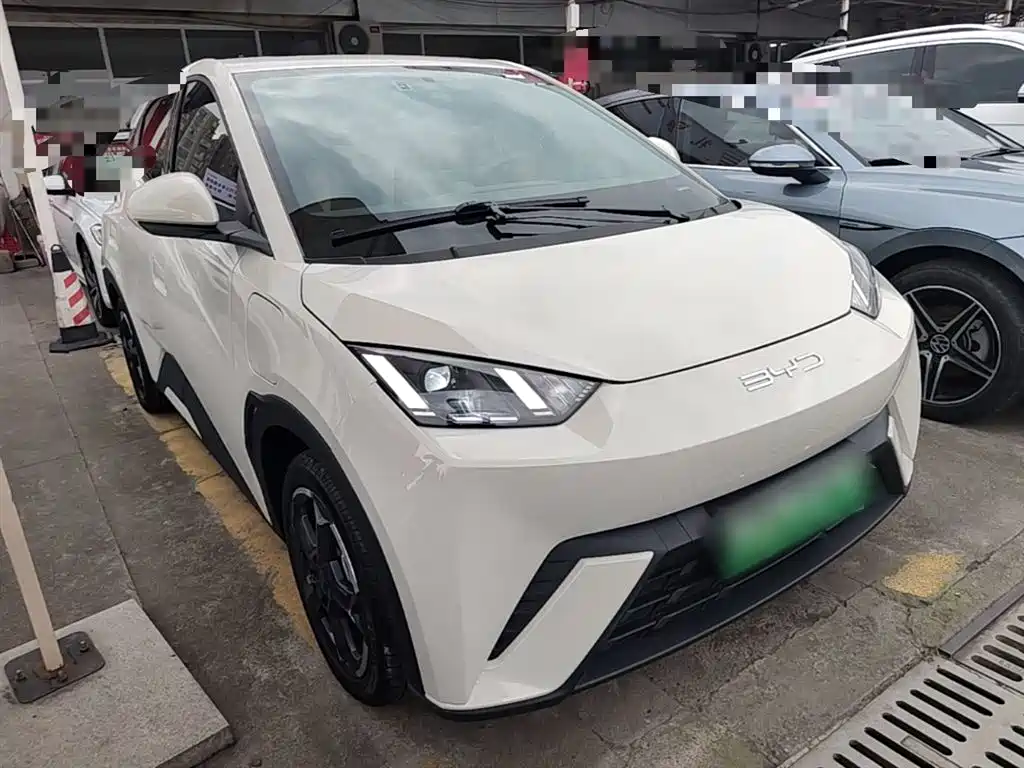BYD Seagull 2023 Freedom Edition фото 4