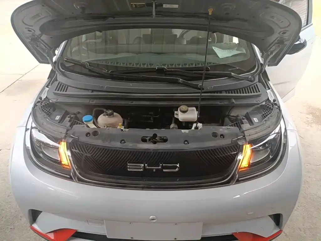 Фото 20 - BYD Dolphin