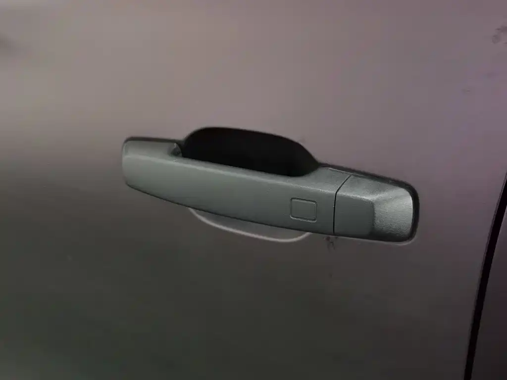 Tank 300 2025 2024 2.0T Conqueror