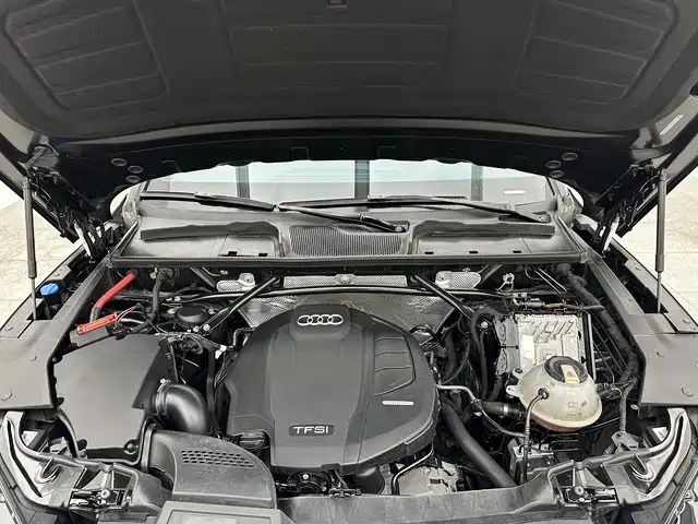 Audi Q5L 2020 40 TFSI Prestige Fashion фото 17