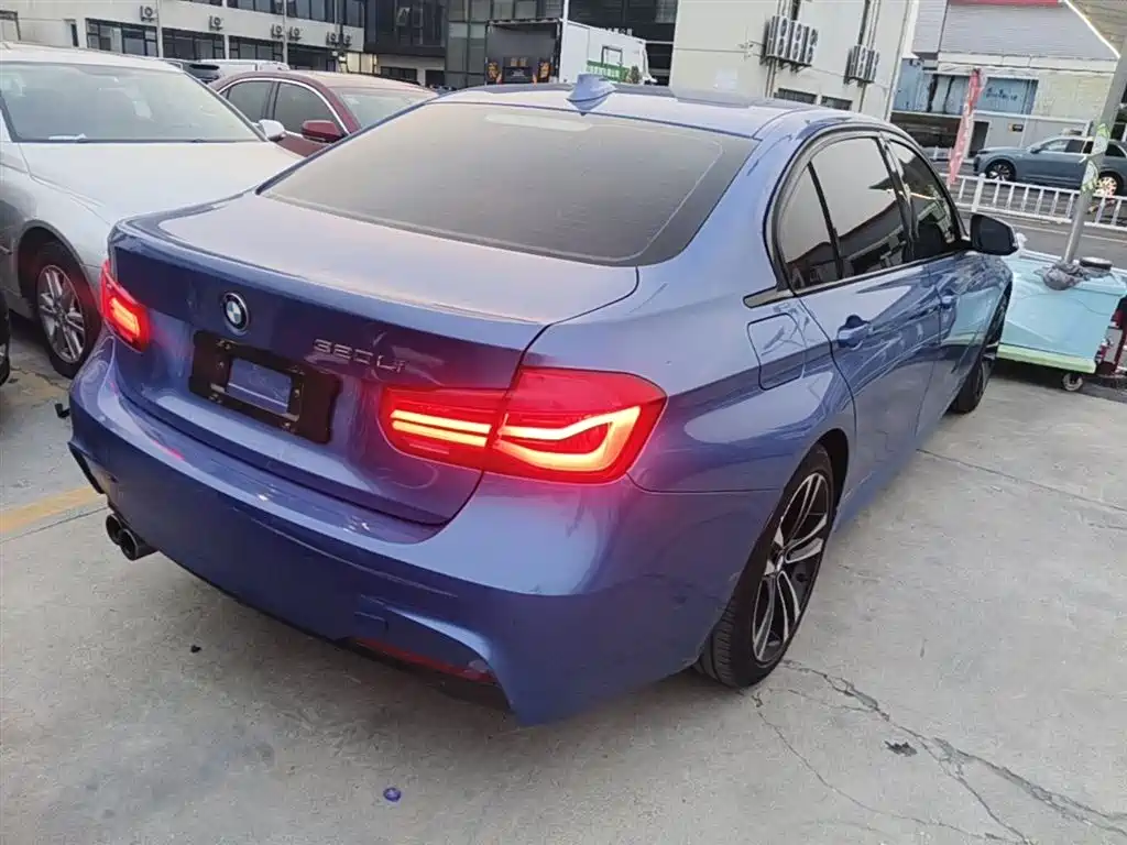 BMW 3 Series 2019 320Li M Sport Package фото 7