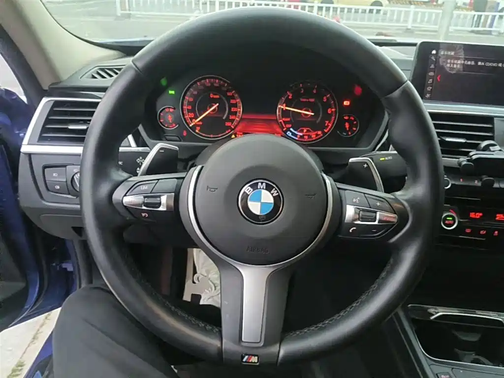 BMW 3 Series 2019 320Li M Sport Package фото 11