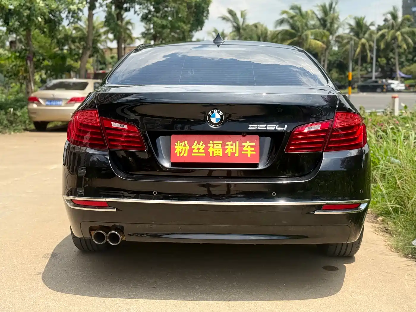 BMW 5 Series 2014 520Li Elegance фото 8
