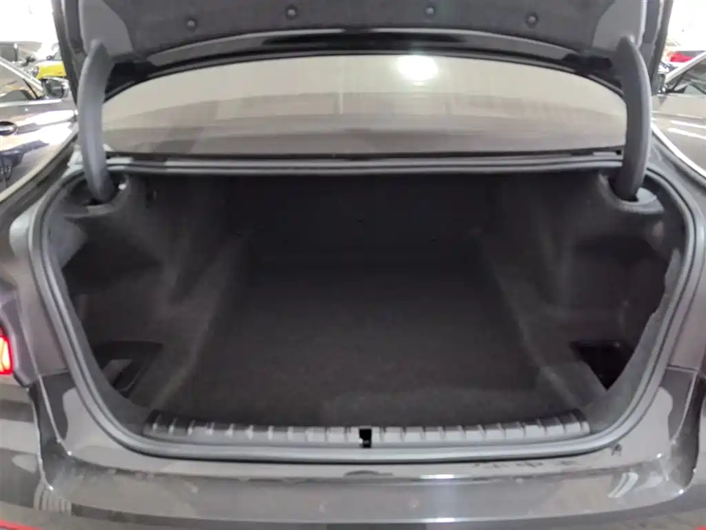 BMW 5 Series 2022 Facelift II 530Li Luxury Trim Premium Package фото 19