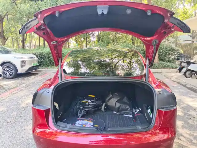 Tesla Model 3 2025 Model Long Range Rear-Wheel Drive — фото 5