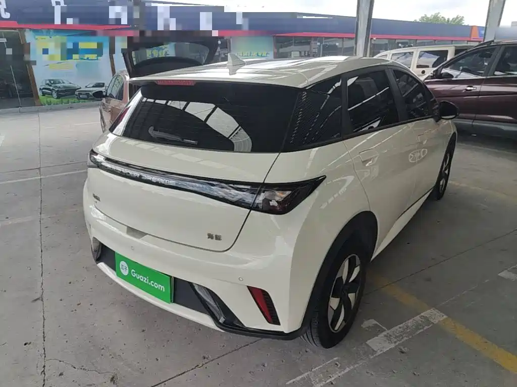 BYD Dolphin 2025 2025 420km Freedom Edition