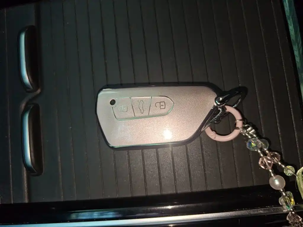 Volkswagen ID.4 X 2024 2024 Pure Intelligent Edition