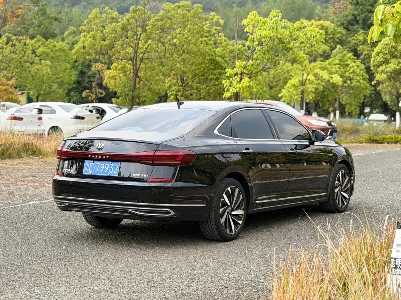Volkswagen Passat 2022 330TSI Luxury Edition фото 4