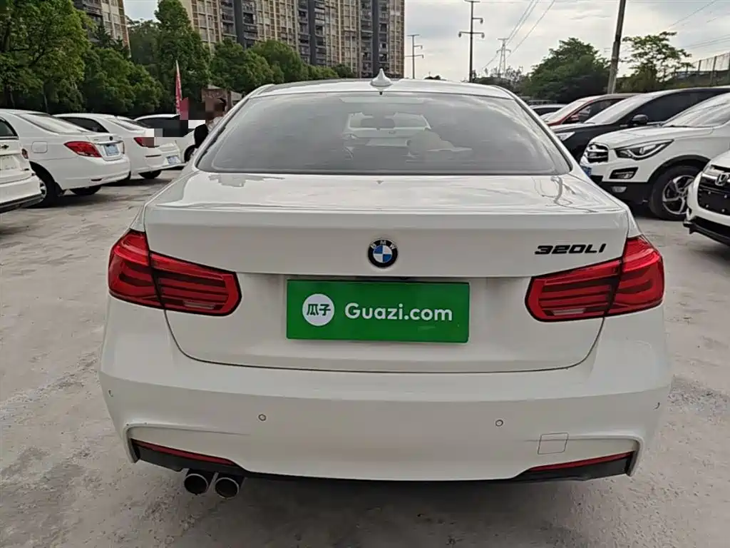 BMW 3 Series 2019 320Li M Luxury Package фото 6