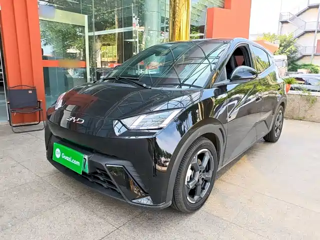 BYD Seagull 2024