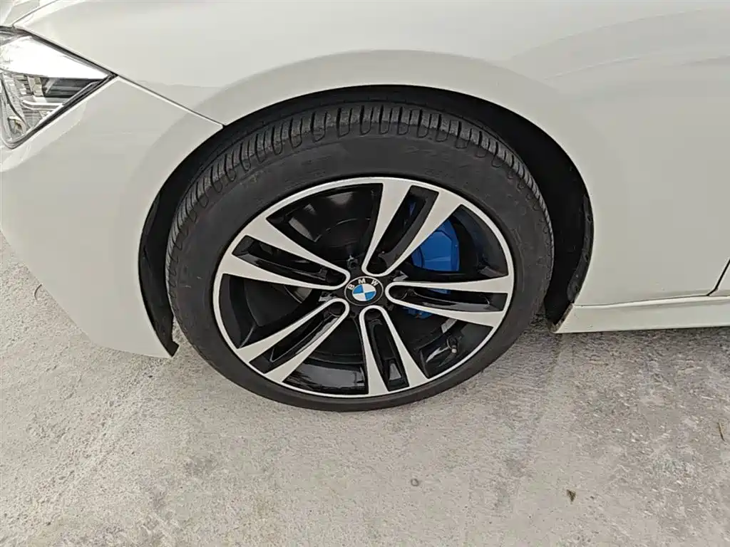 BMW 3 Series 2019 320Li M Luxury Package фото 22