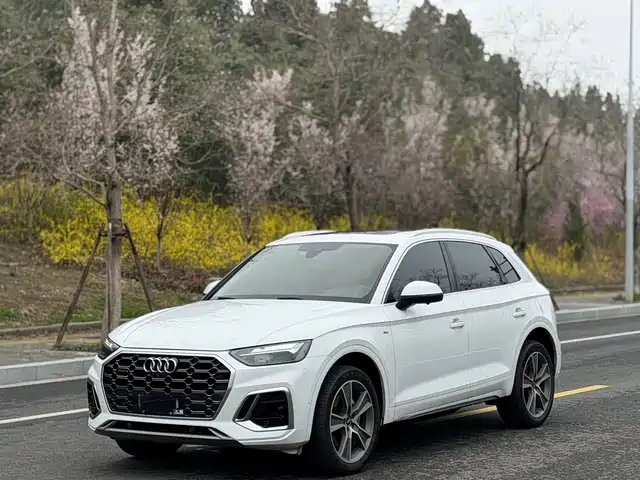 Audi Q5L 2021 45 TFSI Luxury Dynamic