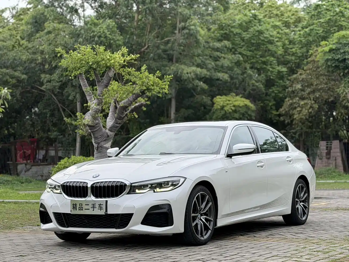 BMW 3 Series 2020 320Li M Sport Package
