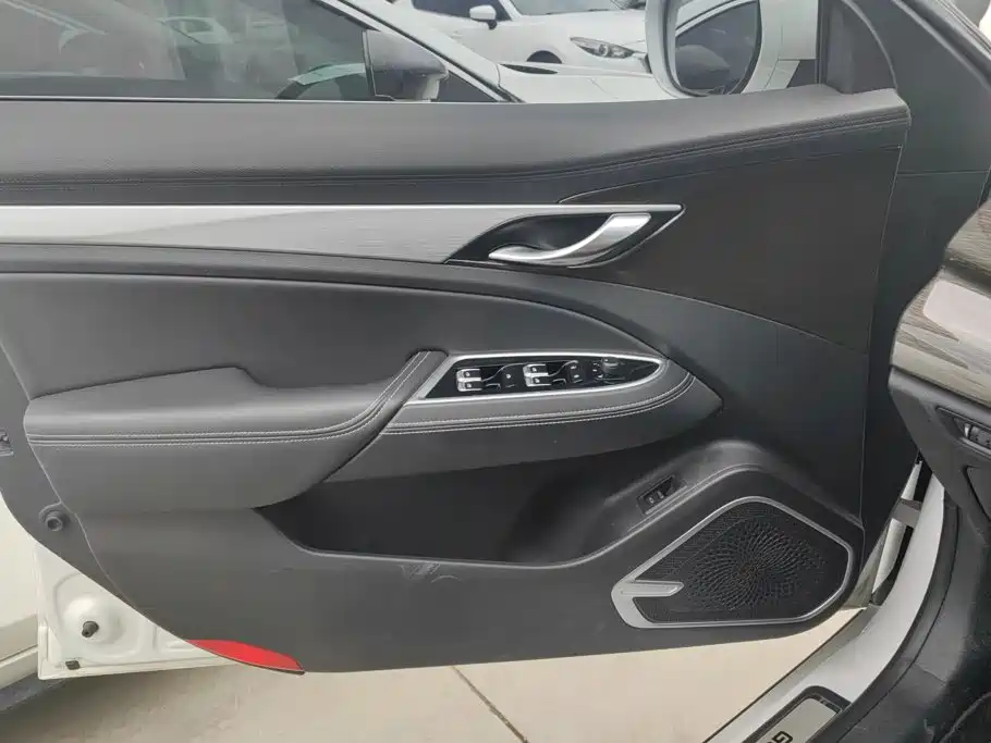 Geely Borui 2021 2021 1.8T Pilot Edition+