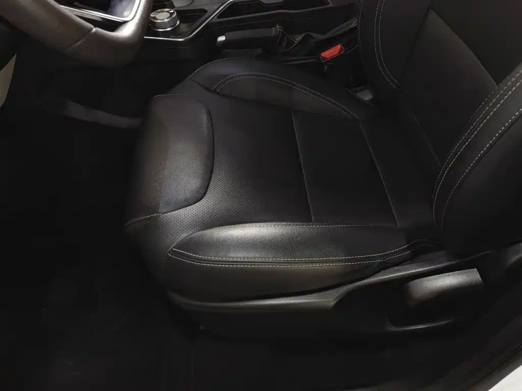 Geely Geometry EX3 Kung Fu Bull 2022 2021 Strong Bull
