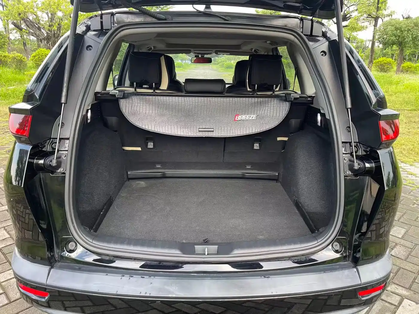 Honda Breeze 2020 2020 Model 240TURBO Manual 2WD Elite Edition