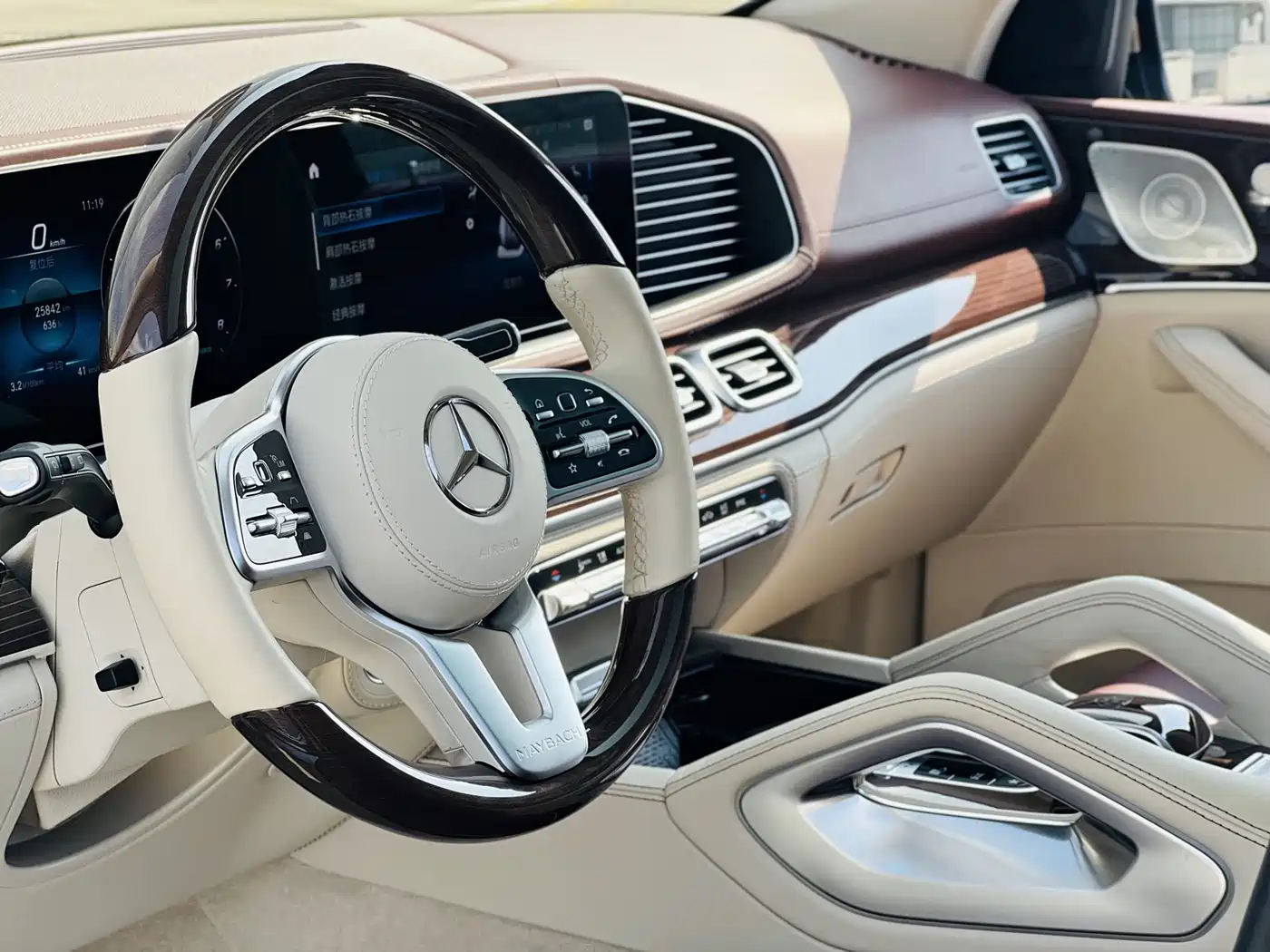Mercedes-Benz Maybach GLS 2022 GLS 480 4MATIC фото 18