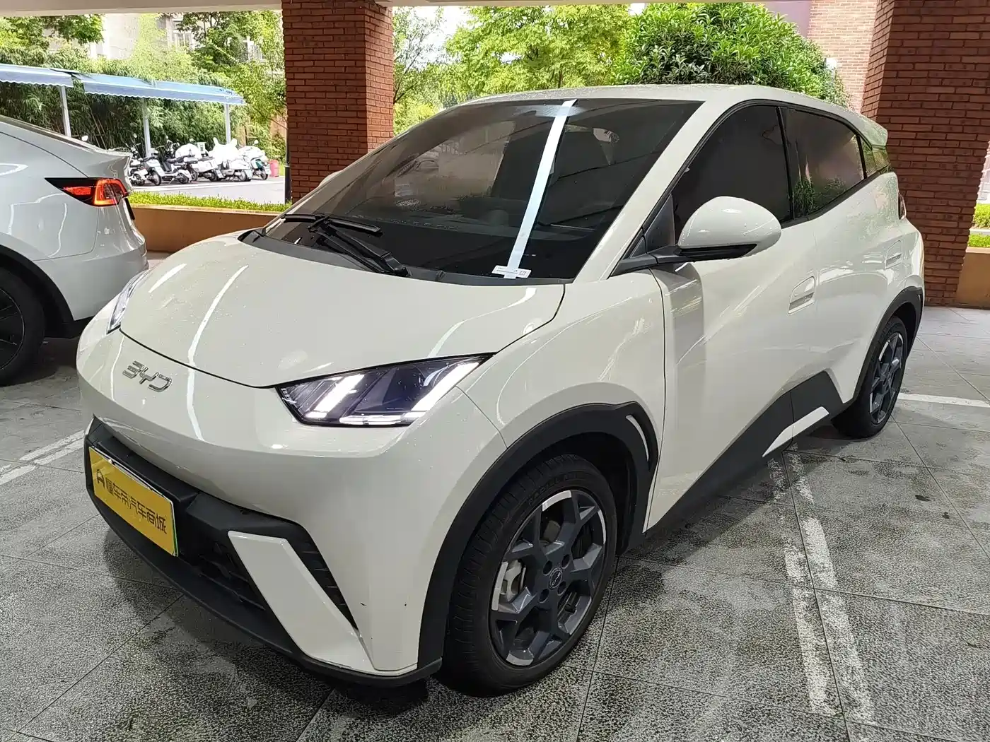 BYD Seagull 2025