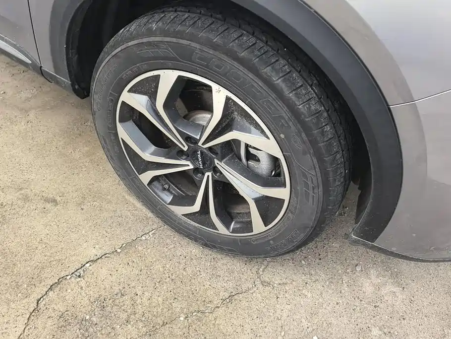 Haval Xiaolong MAX 2023 2023 1.5L Hi4 105 4WD Pilot Edition