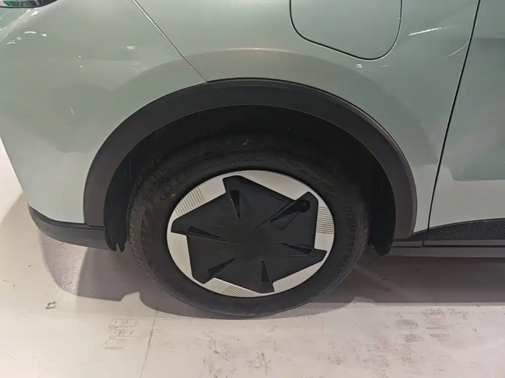 Geely Geometry E Firefly 2024 2024 Model 301km Starlight