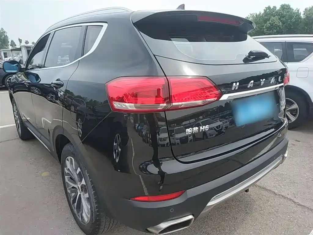 Haval H6 2017 Blue Label 2.0T Automatic 2WD Smart Edition фото 5