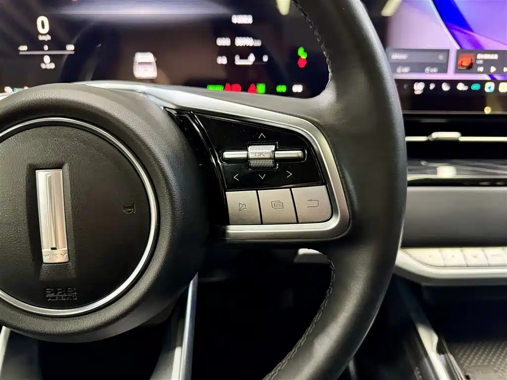 WEY Alpine 2024 2023 AWD Flagship