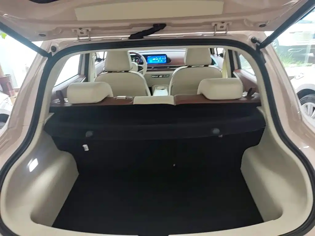 Ora Good Cat GT 2023 2023 Mulan Edition 401km Premium Model