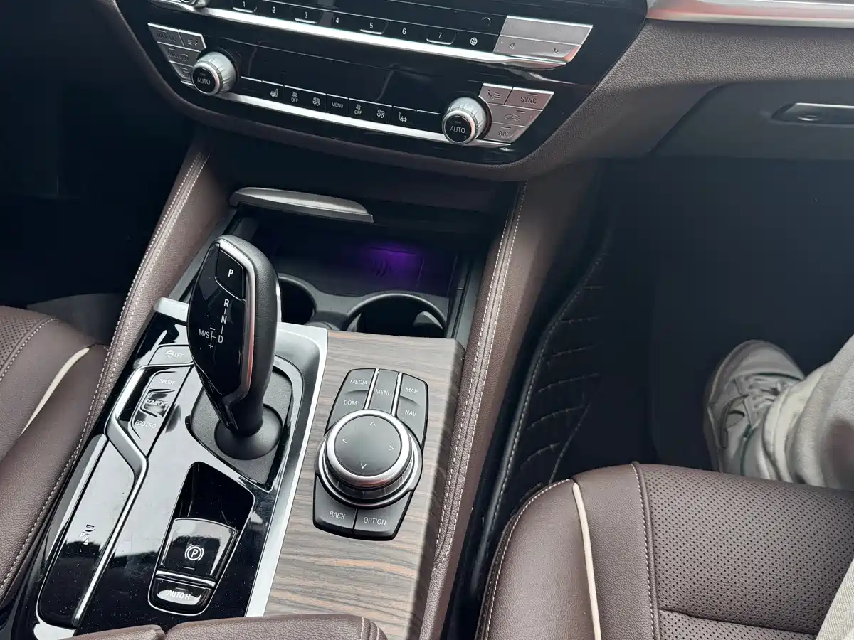 BMW 5 Series 2022 530Li Leading Luxury Package фото 11