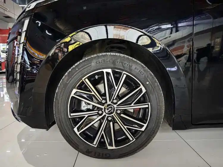 GAC Trumpchi Trumpchi E8 2024 Glory Series 2.0L Glory Edition фото 15