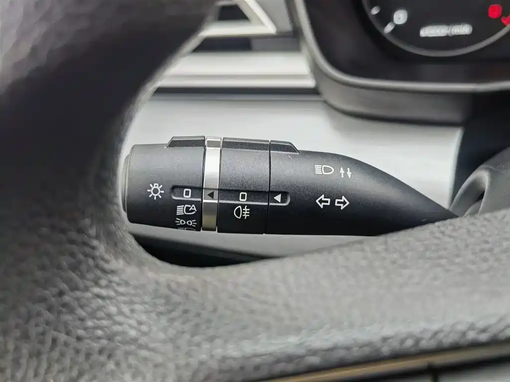 BYD Qin 2019 1.5L Automatic Luxury Edition фото 21