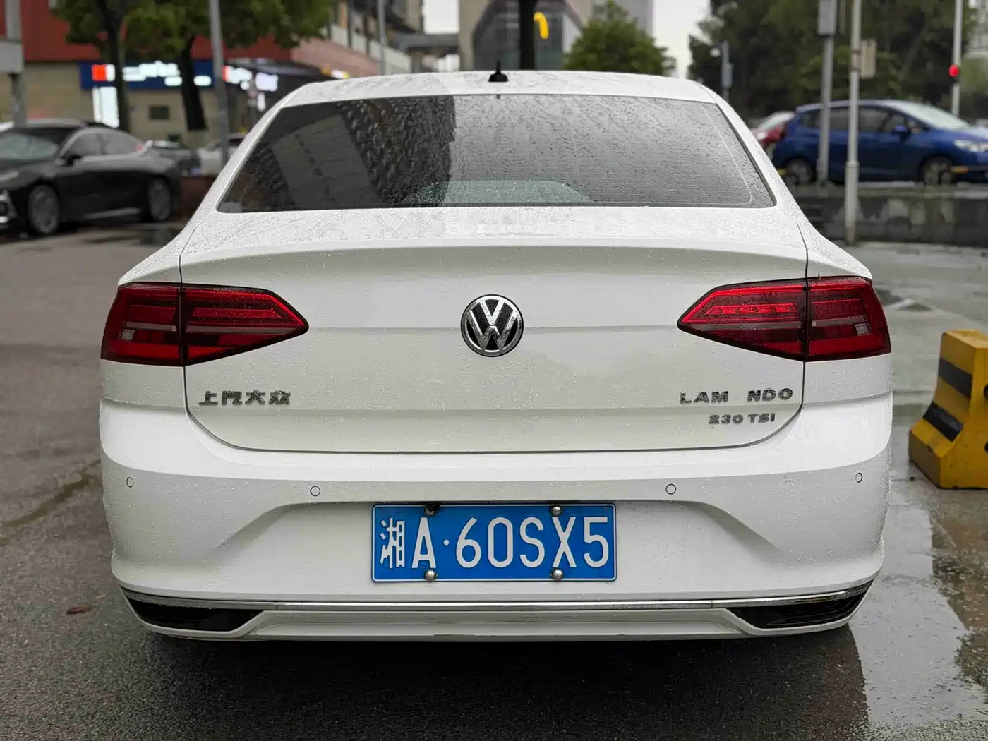 Volkswagen Lamando 2019 230TSI DSG Vision Edition China VI фото 5