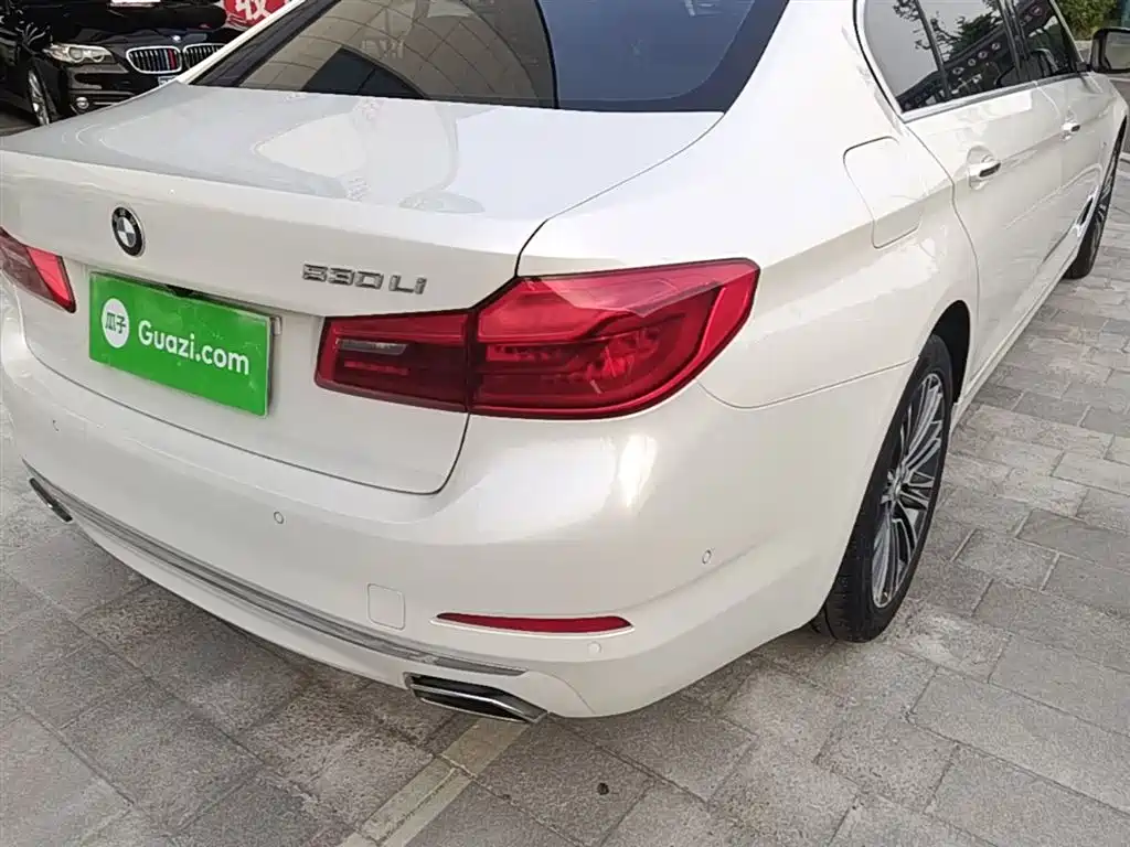 BMW 5 Series 2018 Facelift 530Li Exclusive Luxury Package фото 8