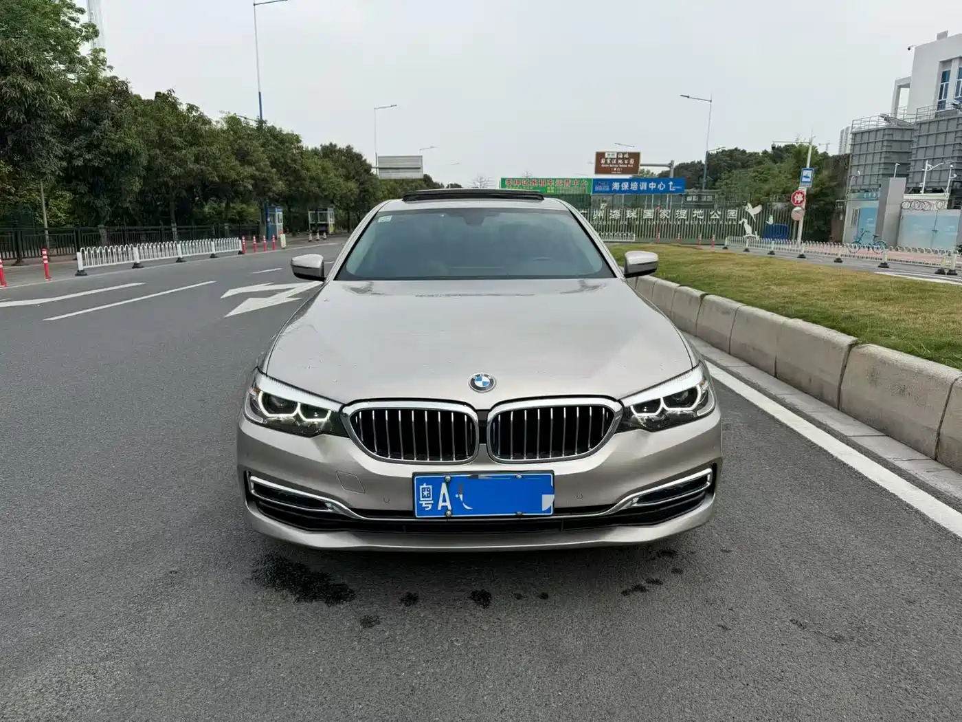 BMW 5 Series 2019 530Li Leading Luxury Package фото 2