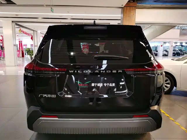 Toyota Wildlander 2026 2.0L PRO+ — фото 4
