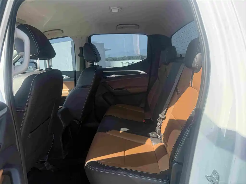 Фото 6 - Maxus Maxus T70