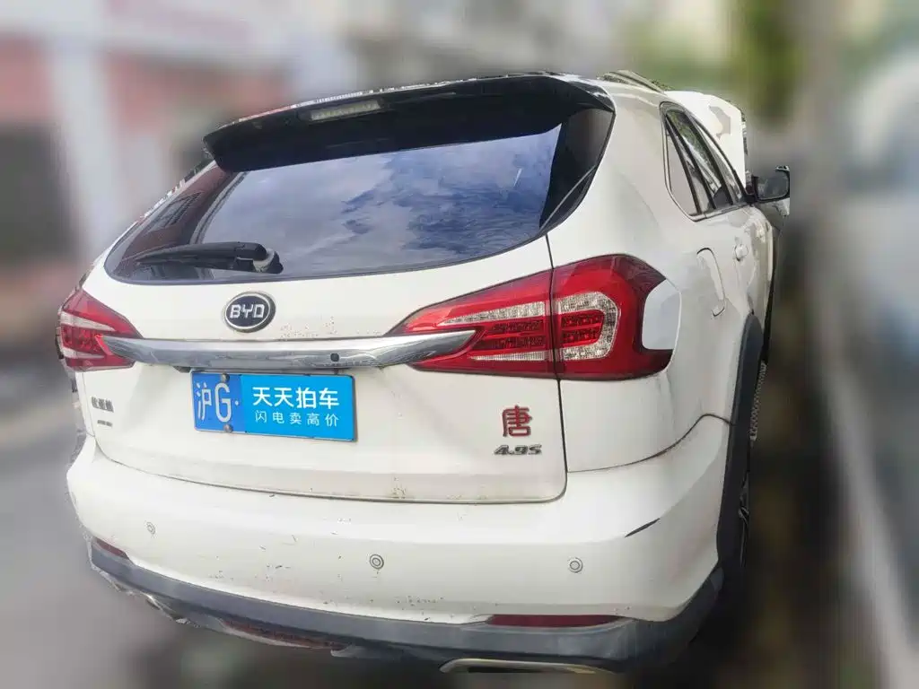 Фото 2 - BYD Tang New Energy