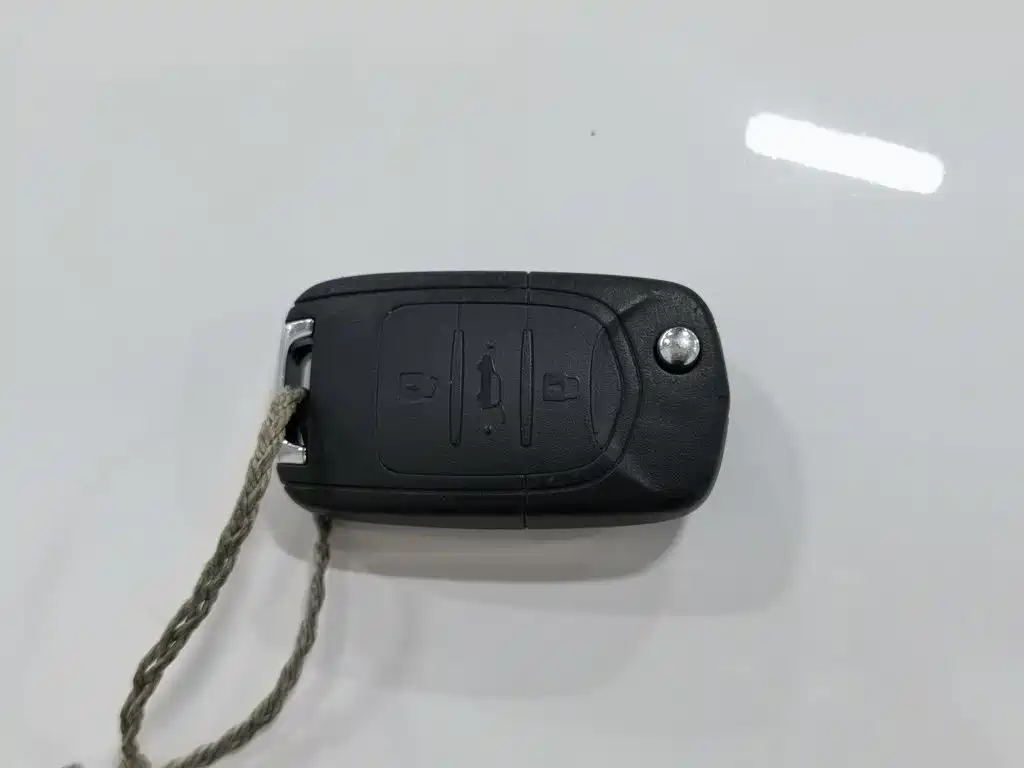 Wuling Motors Wuling Hongguang PLUS 2023 2019 1.5T Manual Standard 5-Seater