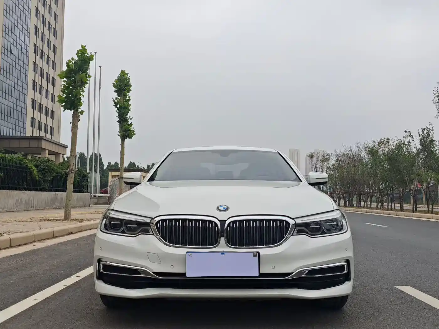 BMW 5 Series 2020 530Li Premium Luxury Package фото 2