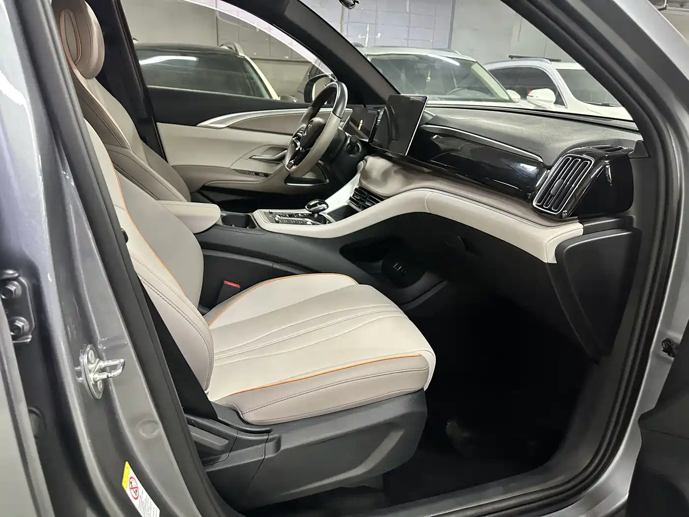 BYD Song Pro New Energy 2024 Glory Edition DM-i 71KM Pilot фото 9