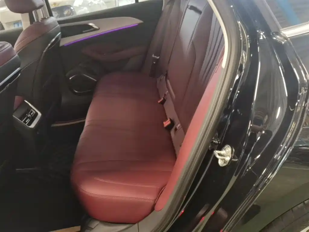 Hongqi H5 2025 2.0T Automatic Flag Celebration 500,000 Units Anniversary Edition фото 17